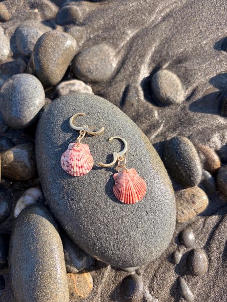 Scallop shell earrings resting on a smooth beach stone at golden hour